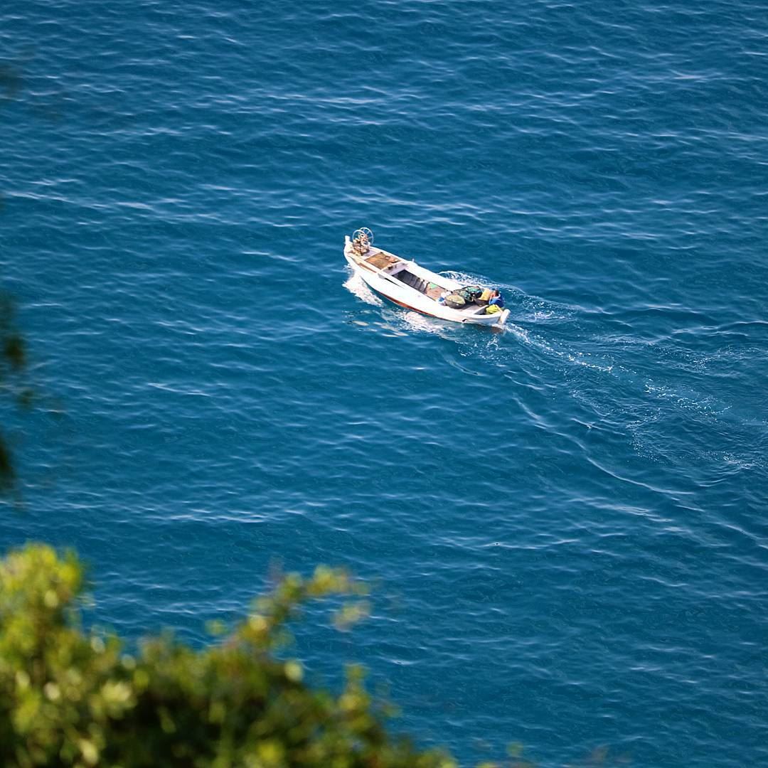 Spotted a Fisherman 📷 Sea  Blue  Nature  Fish Fisherman  Photography ... (Saydet El Nourieh)