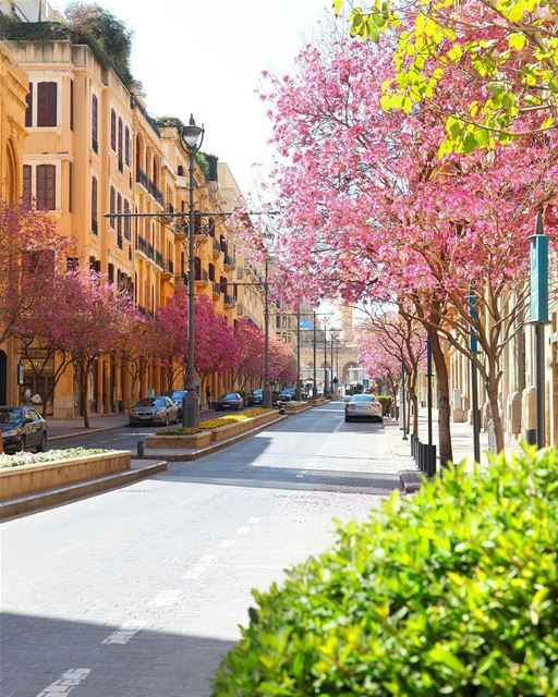 Spring in Beirut 🌸🌸🌸🌸🌸By @nathaliezeidan  DowntownBeirut ... (Downtown Beirut)