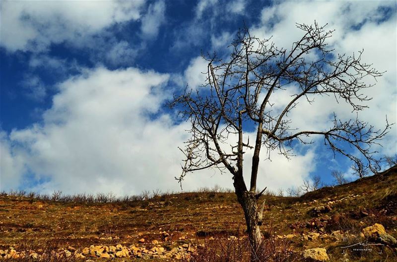 Spring loading ⛅ (Arz Tannoûrîne)