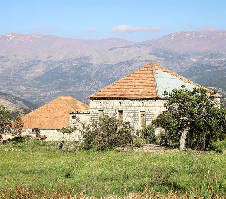 Spring makes everything young again 🏡 @livelovemarjeyoun (Marjayoûn, Al Janub, Lebanon)