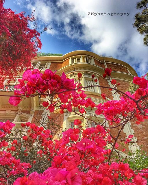 Spring of Beirut 🌺🌸 • insta_lebanon  ig_lebanon  lebanon_pictures ... (Trad Hospital Medical Center)