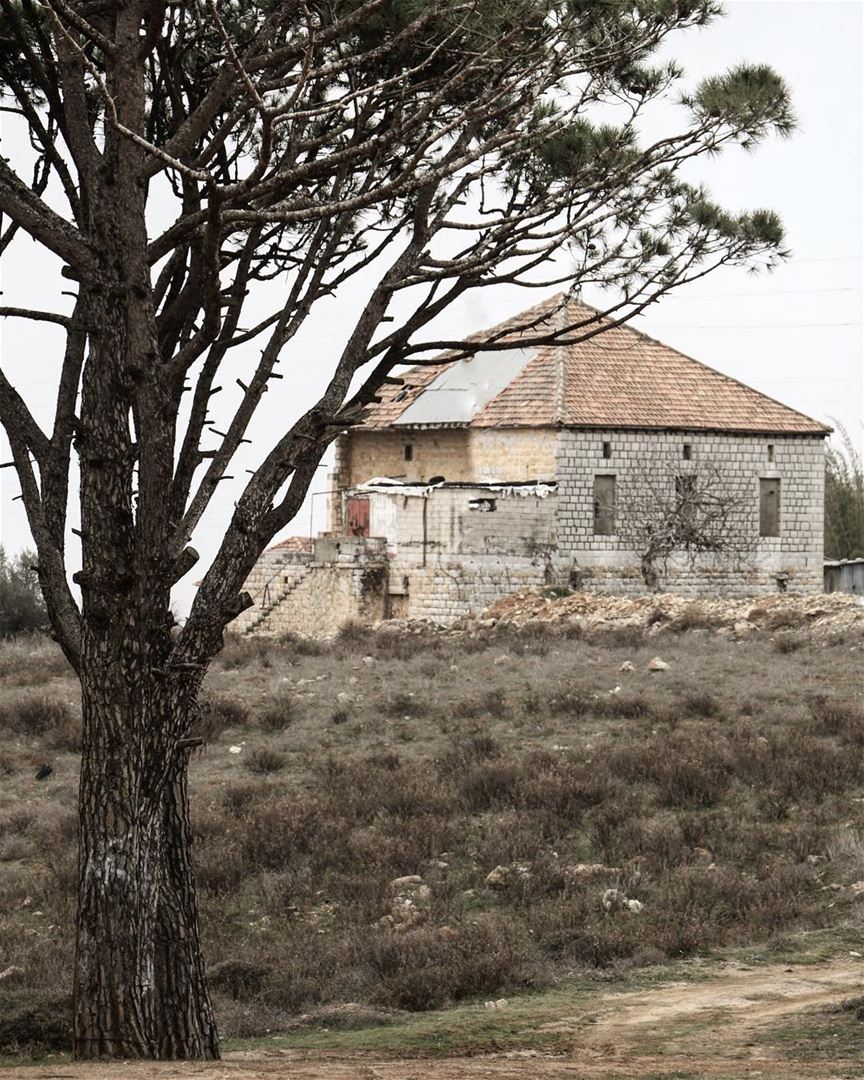 Stand strong 🏡 (Marjayoûn, Al Janub, Lebanon)