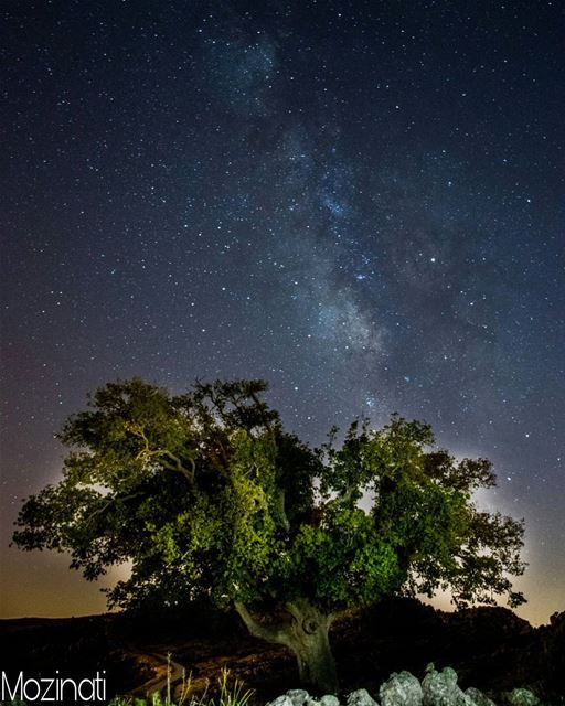  stars star nights night natureloversgallery naturephotography nature... (Jezzîne, Al Janub, Lebanon)