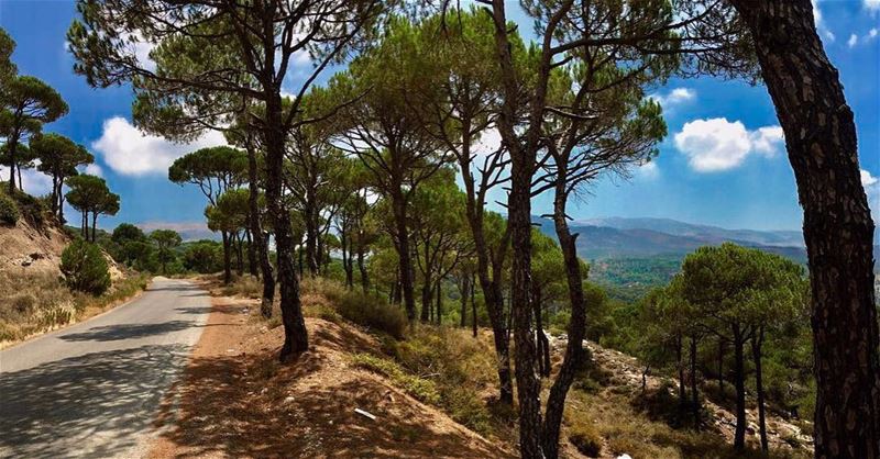 Stop and listen✨ (Bmahray, Mont-Liban, Lebanon)