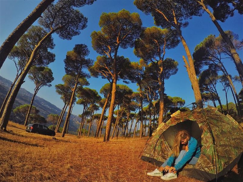 Stress is caused by not camping enough ⛺️🌳 (Chouf)