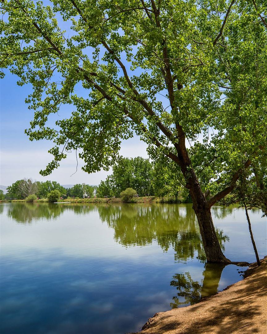 .Summer is here! Taanayel Lake, Bekaa 30-4-2017 Good evening dear IGers... (Taanayel Lake)