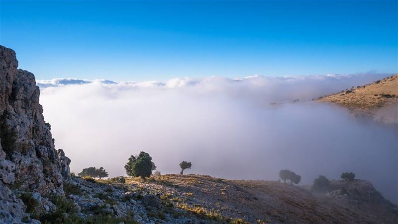 Summer's low hanging clouds  lebanon ... (As Sawaqi, Liban-Nord, Lebanon)