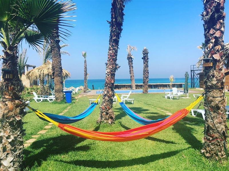 Summer time is always the best of what might be 🌴🌻🌞 @seascapebatroun ... (Seascape Batroun)