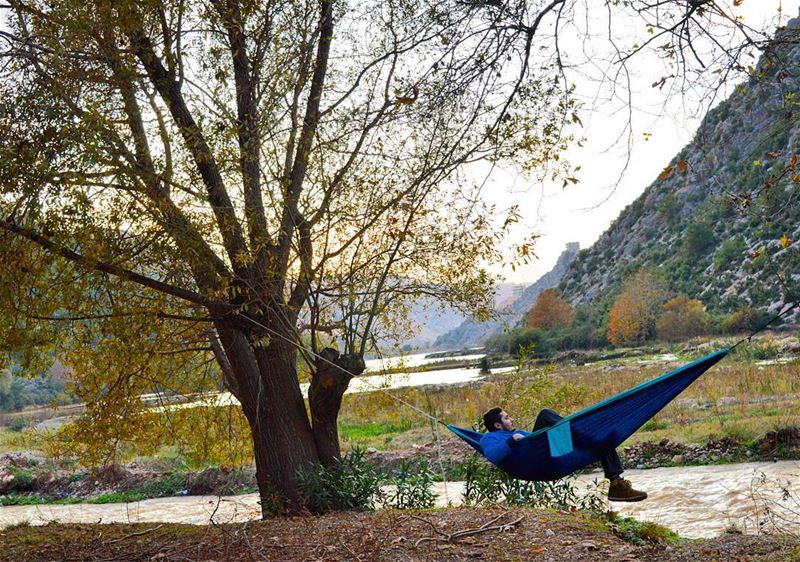  sunday autum winter river hammock tickettothemoon trees nature lagoone... (3youn el Samak)