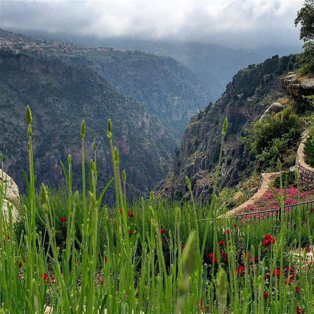 sunday  getaway  panoramic  view  landscape  valley  trees  nature  blue ... (Bsharri, Lebanon)