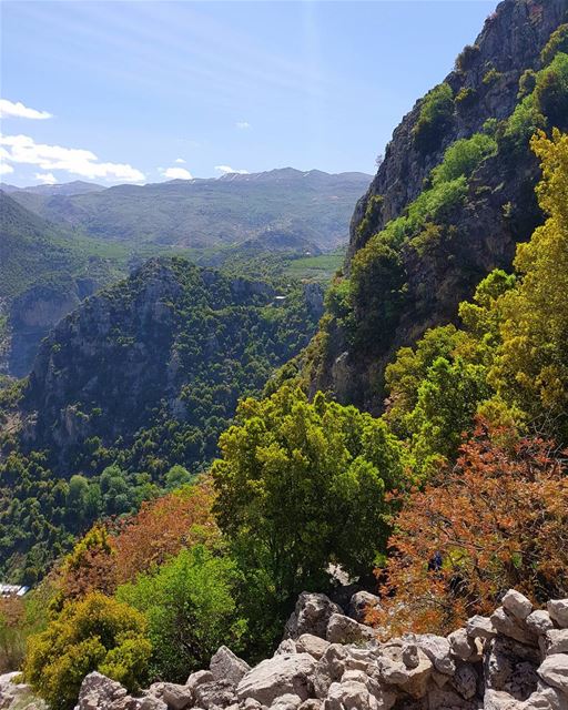 Sunday Hiking  hiking  friends  spring  mountains  batroun  laklouk ... (Tannurin At Tahta, Liban-Nord, Lebanon)