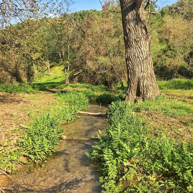 Sunday... (Jezzine District)
