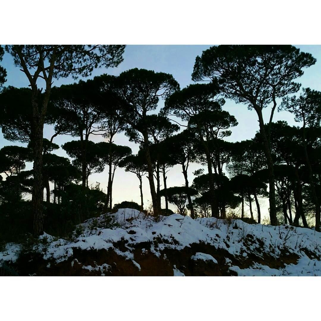 ❄⛄ sunday jezzine south southlebanon cold weather coldweather snow... (Jezzîne, Al Janub, Lebanon)