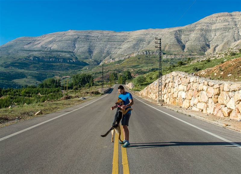 🐶🍃..... sunday roads road mountains dog dogs dogsofinstgram animal... (Mount Sannine)