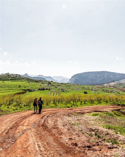 Sundays are for this. 🌲🌲💚💚... (Hadath El-Jubbah, Liban-Nord, Lebanon)