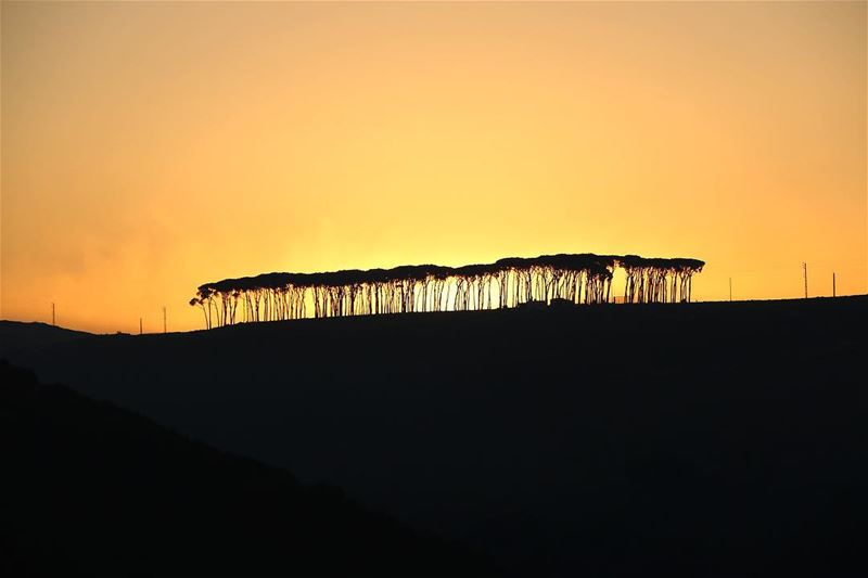  sunrise ☀️ southlebanon ... nature naturelovers landscape... (Aishiye)