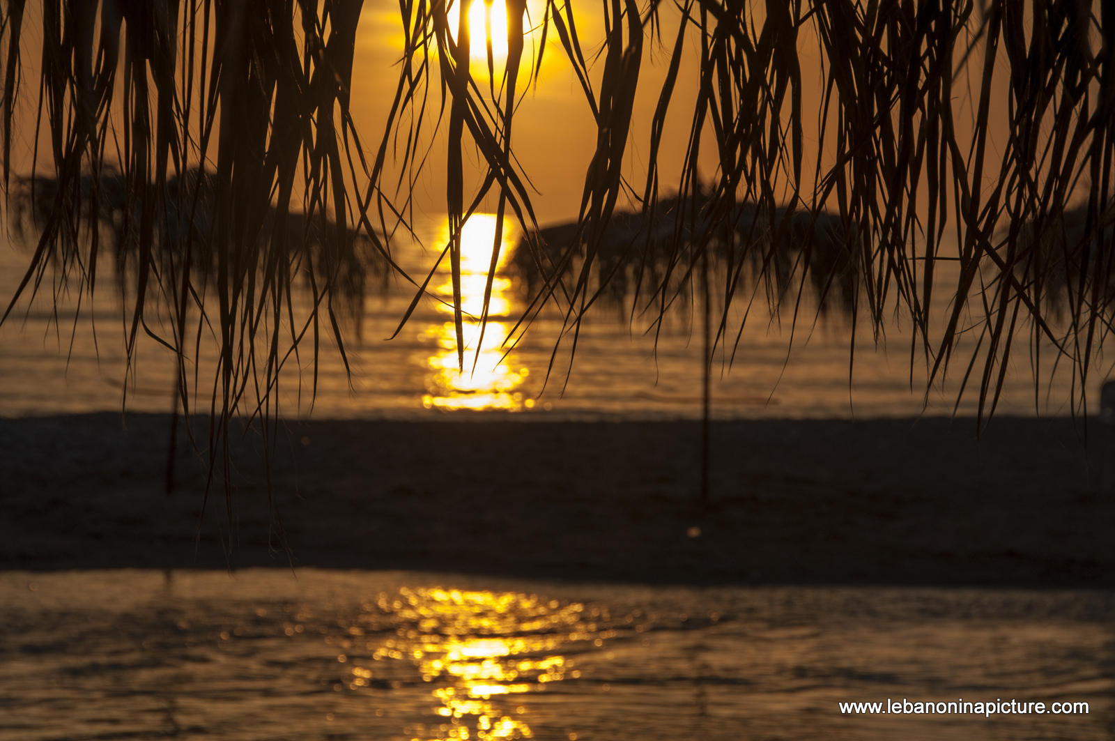 Sunset at Ibrahim River Landing