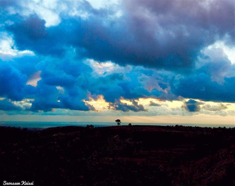  sunset  colors  clouds  blue  tree  landscape ...