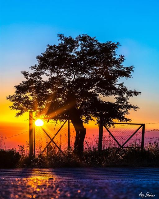 Sunset dreams 🌅... ... sunset sunsetporn sunsetpics landscape... (Falougha, Mont-Liban, Lebanon)