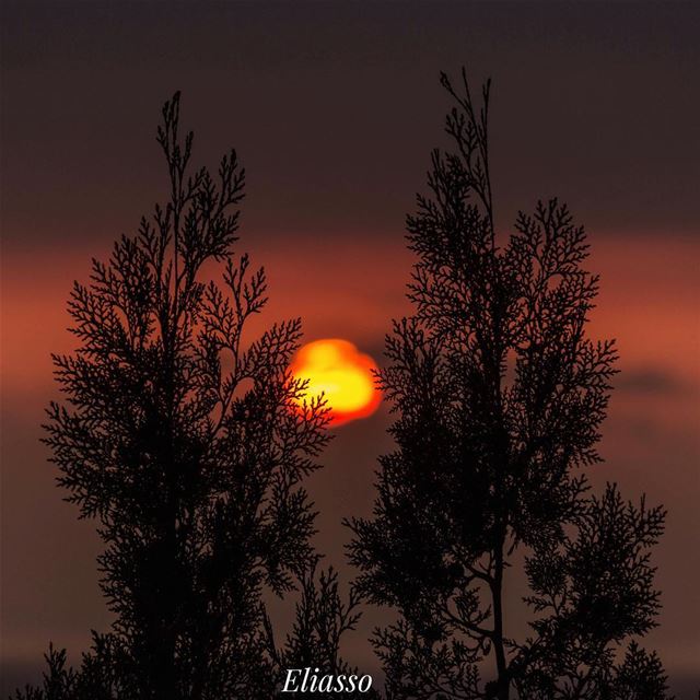 .–––––––––––––––––––––––––––––––––––Sunset🌄 is a wonderful opportunity...