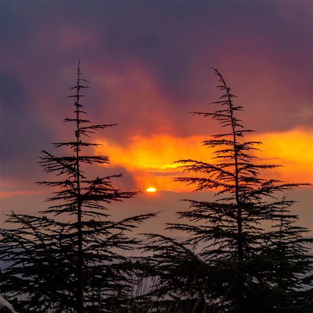 Sunset Lebanon shouf clouds sky sunshine landscape nature beautiful... (Al Shouf Cedar Nature Reserve)