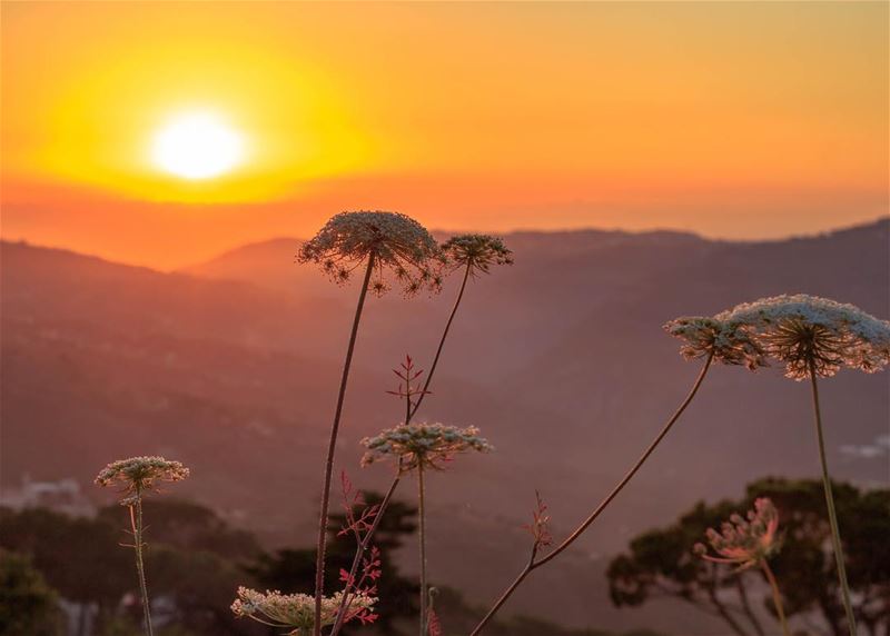Sunset mountains sky landscape nature beautiful sightseeing... (El Qrayé, Mont-Liban, Lebanon)