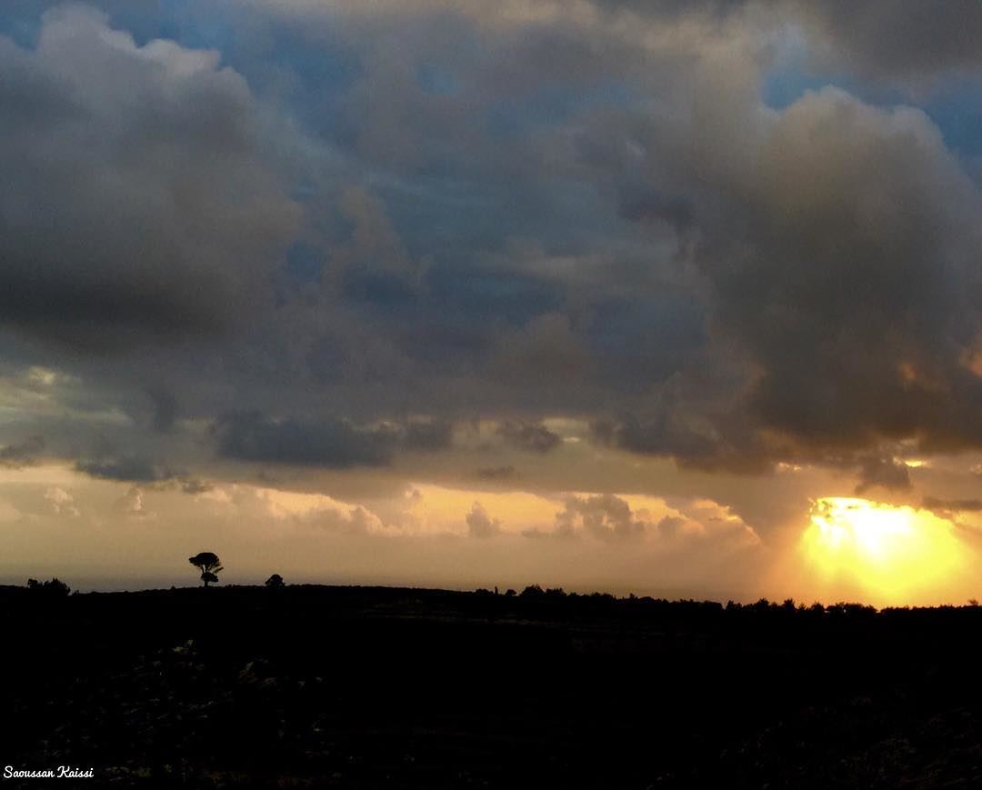  sunset  sky  clouds  tree  colors  landscape ...