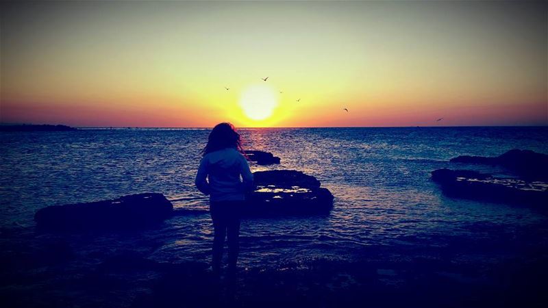  sunset sun photo photography nature naturlovers birds contemplation... (Corniche El Mina Tripoli)