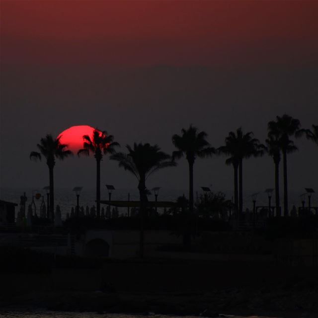 🌅.... sunset sunsetporn sunsetpics landscape landscapephotography... (Beirut, Lebanon)