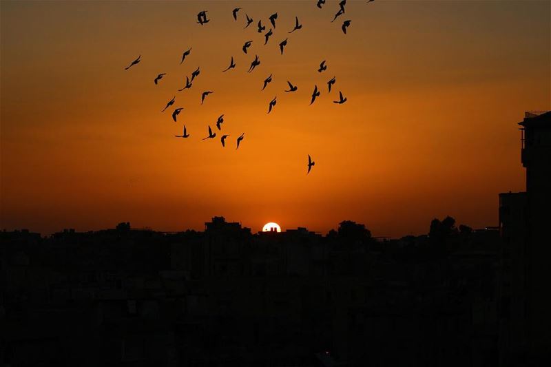 🌅.... sunset sunsetporn sunsetpics landscape landscapephotography... (Beirut, Lebanon)
