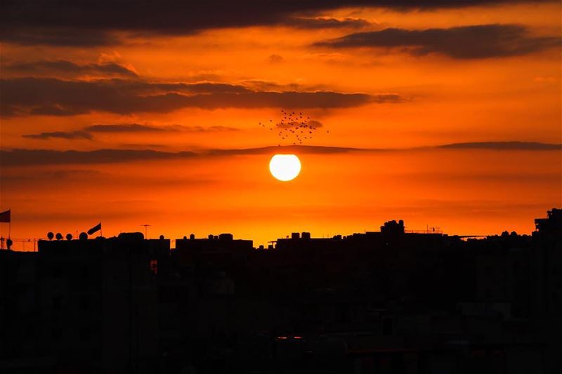 🌅.... sunset sunsetporn sunsetpics landscape landscapephotography... (Beirut, Lebanon)