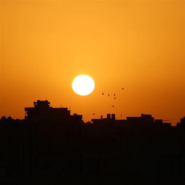 🌅.... sunset sunsetporn sunsetpics landscape landscapephotography... (Beirut, Lebanon)