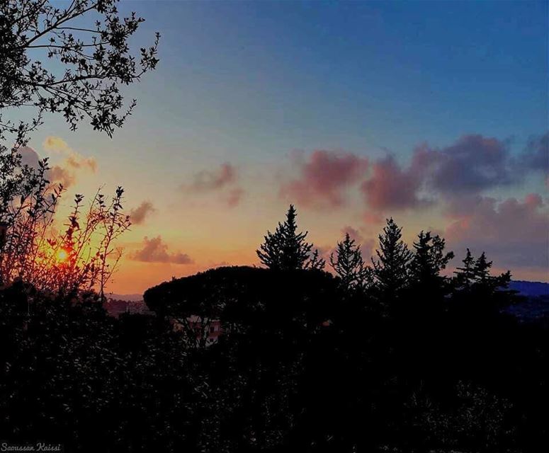  sunset  trees  sky  clouds  colors  house ...