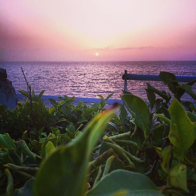  sunset view clear blue sea green tree dbayeh Lebanon...