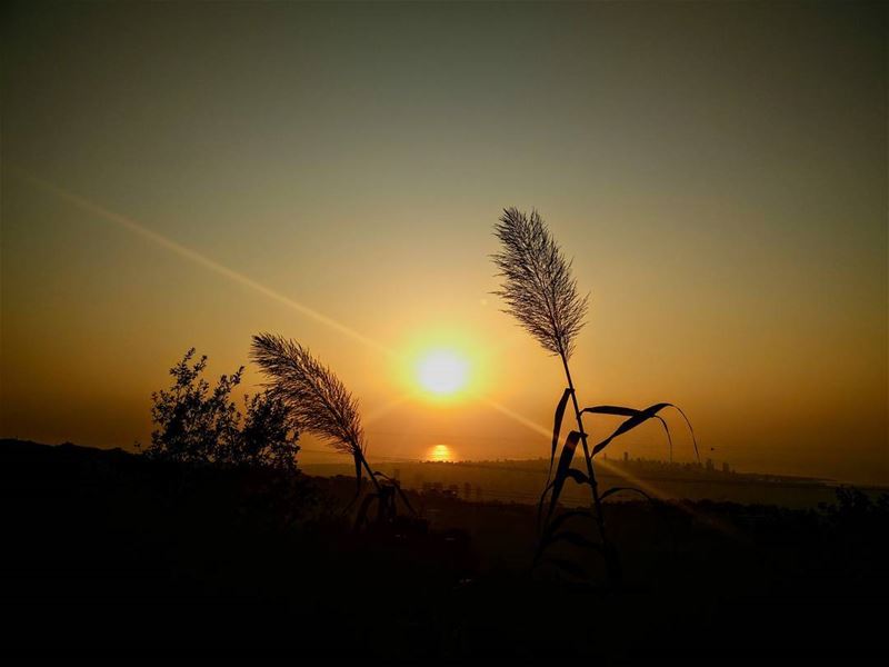 Sunsets are the best 😍 lebanon montliban sunset endofsummer... (Aïn Saadé)