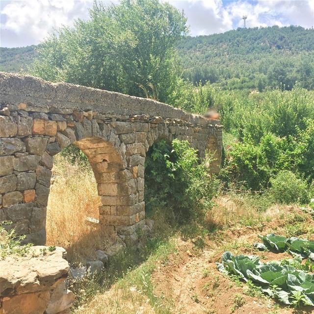 Sur le... (Barouk - Shouf)
