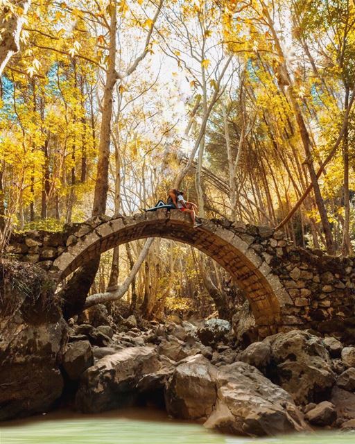 Sur le pont d’Avignon, L’on y danse L’on y danse 😌☀️🍂🍁 📸: @whereishai (Lebanon)