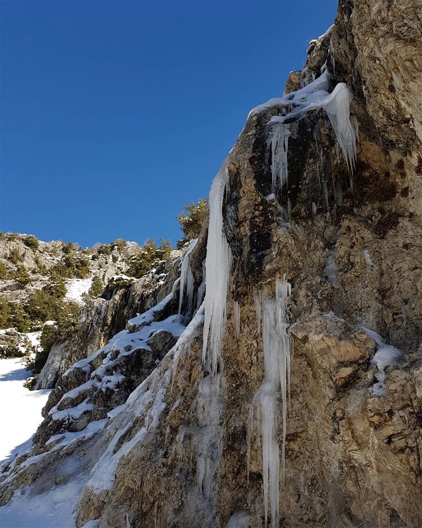 Sweet as sugar; cold as  ICE. snow  landscape  nature  natureza ... (Arez Ehmej)