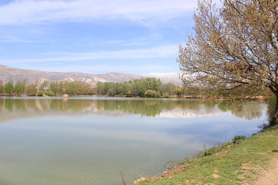 - Taanayel lake -  lebanon  livelovenature  livelovelebanon ...
