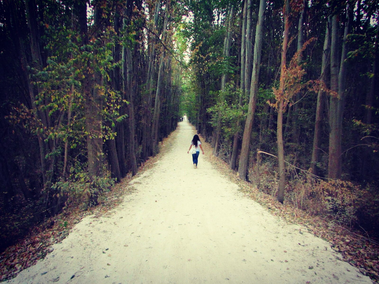 Take me to Heaven (Road leading to Taanayel Lake)