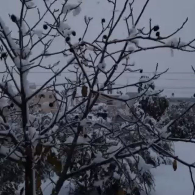 Talj talj❄️💙⛄️😍