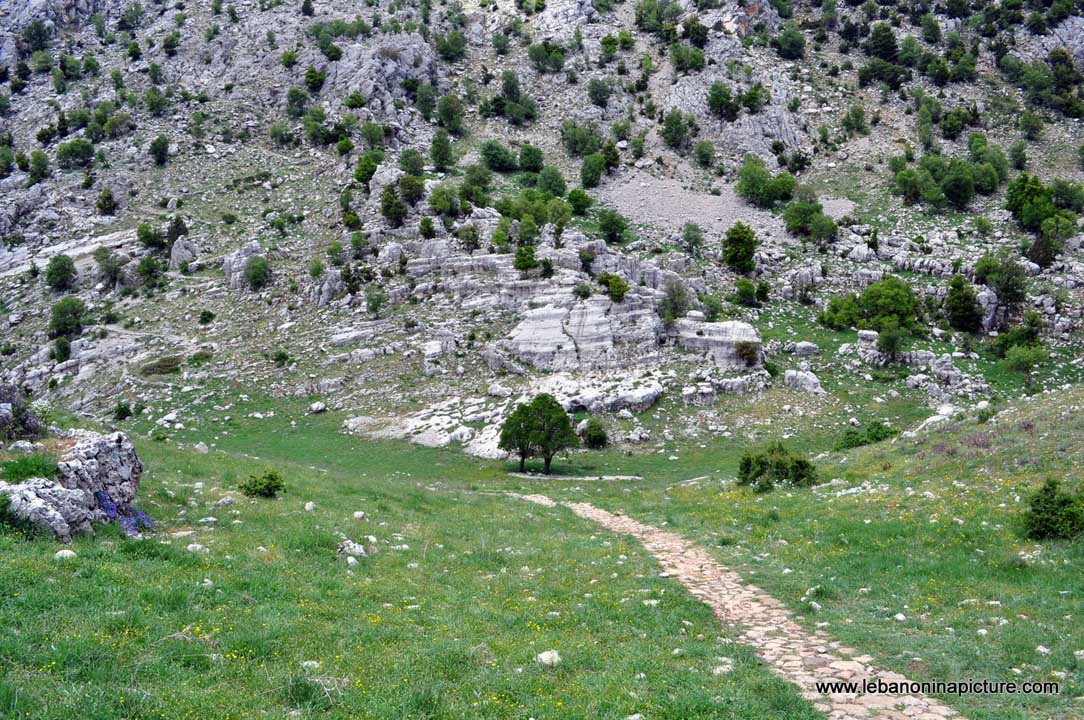 Tannourine Balou3 Bal3a Spring 2012