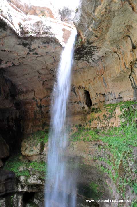 Tannourine Balou3 Bal3a Spring 2012