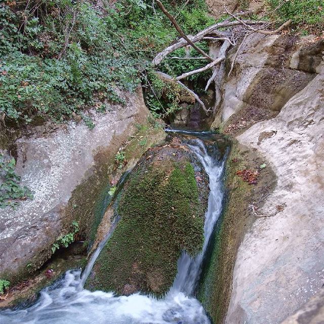  tannourine  insta_lebanon  ig_lebanon  proudlylebanese ... (Tannourine)