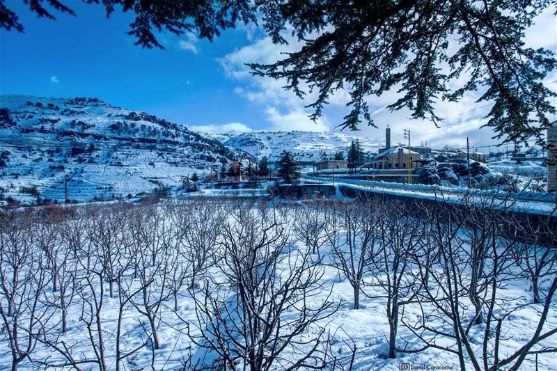  tannourine  livelovetannourine  lebanon  mountains  snow ...