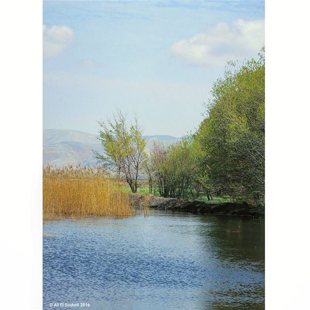  tb  ammiq  bekaa  bekaavalley  lake  water  nature  trees  mountains ... (`Ammiq, Béqaa, Lebanon)