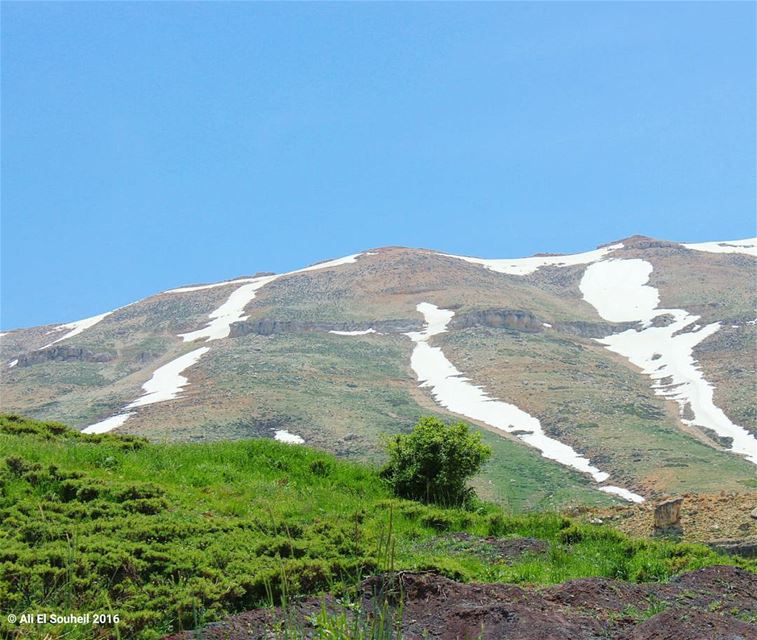  tb  bcharre  mountains  snow  green  nature  winter  sky ... (Bcharre El Arez بشري الأرز)