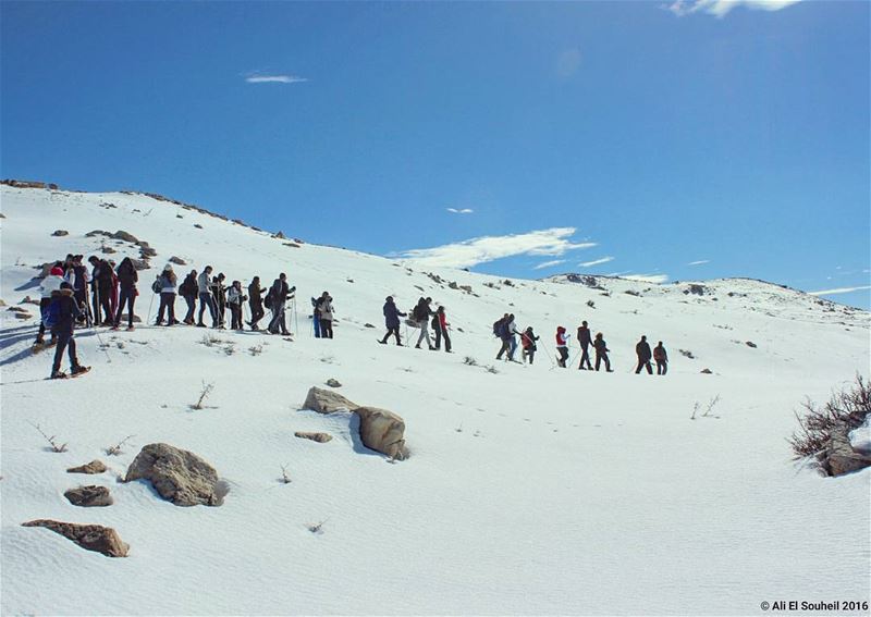  tb  goodmorning  faqra  snow  hiking  snowshoeing ... (Faqra, Kfardebian)