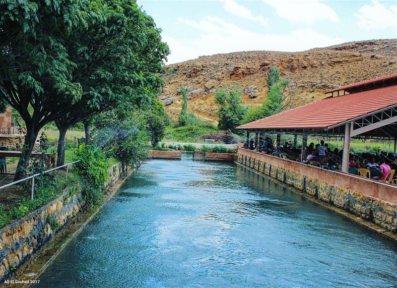  tb  hermel  assiriver  river  north  bekaa  lebanon  summer  trees ... (Hermel Assi River)