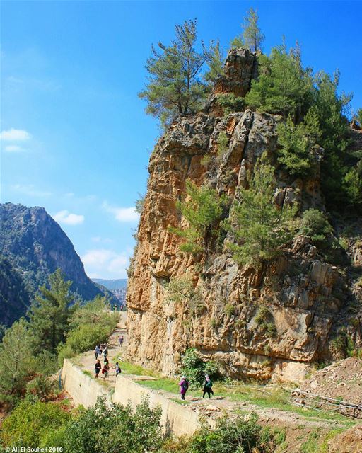  tb  hiking  mountains  green  nature  adventure  northlebanon ... (Wadi Jhanam)